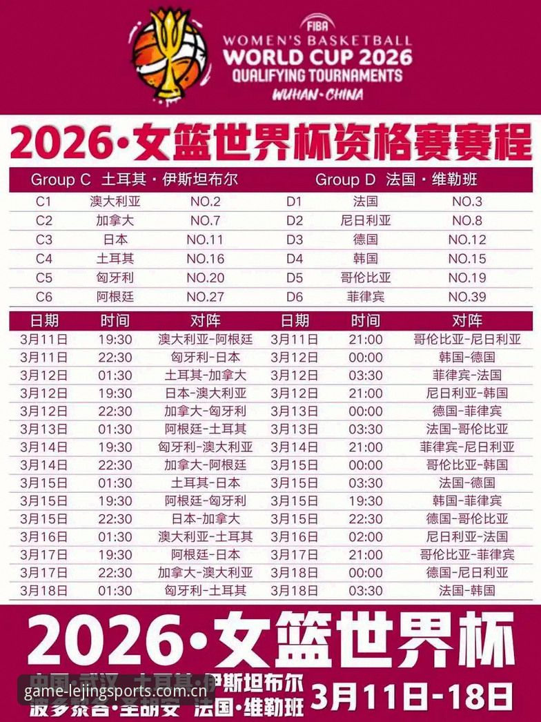 世界杯观赛签证危机:乐竞体育平台用户完整观赛指南
